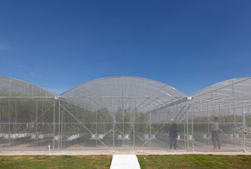 farming control environtment with greenhouse building to protect bug