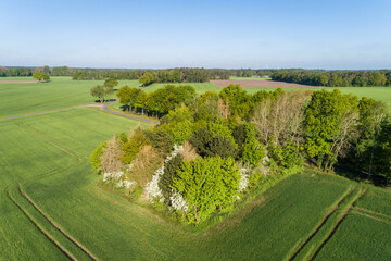 Landschaft in Deutschland aus der Luft