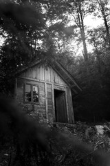 Wooden cabin in the woods at Tara mountain in Serbia