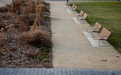 perennial flowerbed with perennials mulched by bark on a park square with benches with wood...