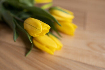 Obraz premium Beautiful yellow tulips on a wooden textured background, on a parquet. A bouquet of yellow flowers with green leaves on parquet boards. Spring yellow-green bouquet.