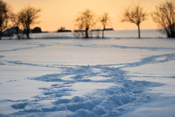 sunset in the snow