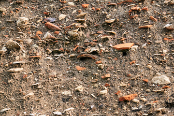 occupation earth - layers of ground with fragments of ancient pottery and shells under the sod layer
