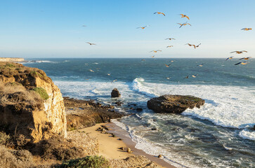 The beautiful landscape of the Pacific coast, birds fly over the ocean rocks, waves, Santa Cruz and Davenport have some of the most beautiful beaches in California.