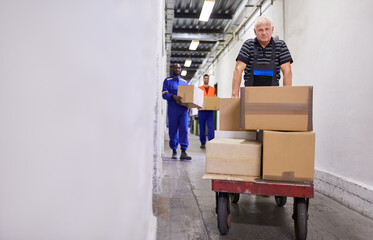 Arbeiter schiebt viele Pakete auf Schubwagen