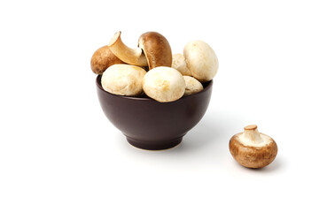 Fresh champignons in a brown clay plate isolated on a white