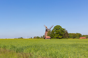 Fototapeta na wymiar Windmühle in Niedersachsen, Deutschland