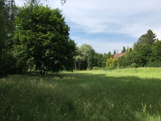 Landschaft ländliches Idyll 