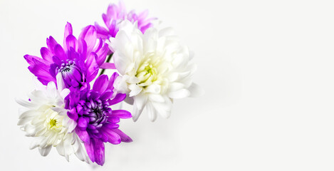 Bouquet of spring flowers. White and purple aistra buds.