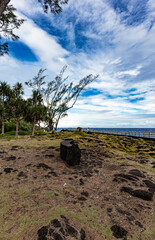 Volcanic coast in Reunion Island