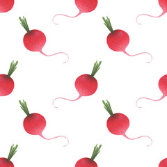 a seamless pattern of detailed radish on a white. organic food, farmers market