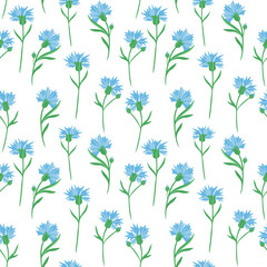 Seamless pattern with cornflowers vector illustration. Delicate solid floral background. Template blue small wild flowers for fabric, paper and wallpaper