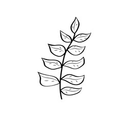 Vector outline icon of a branch with leaves. Isolated black simple line illustration element from nature concept. 