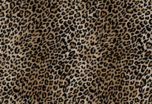White Leopard Print Images – Browse 70,162 Stock Photos, Vectors