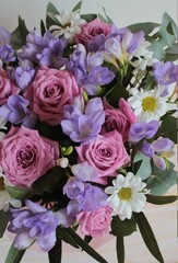 Background of flowers, pink roses, white chamomile and blue freesias.