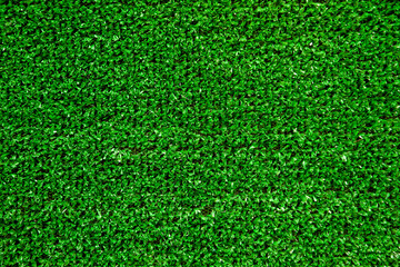Fototapeta premium green grass background