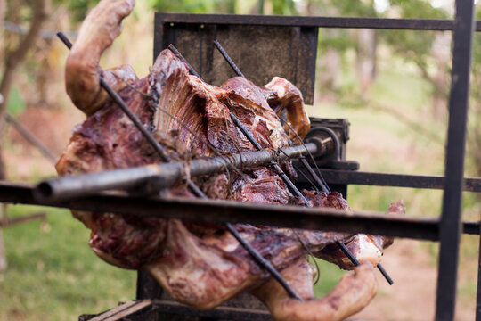 Whole pork barbecue on the rotating spit. Rustic traditional pork barbecue throughout Brazil. Close-up photography.