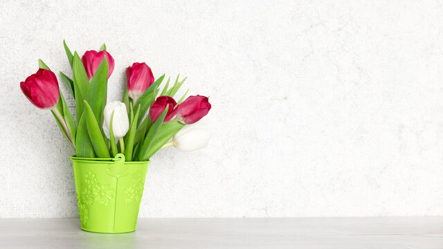 Light spring widescreen background. Red and white tulip flower bouquet on the table near the wall with copy space