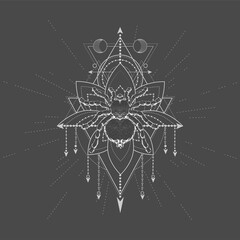 Vector illustration with hand drawn Spider Tarantula and Sacred symbol LOTUS on black background. Abstract mystic sign. White linear shape.