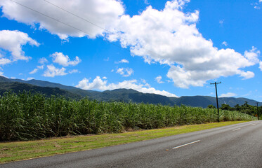 road to the mountains