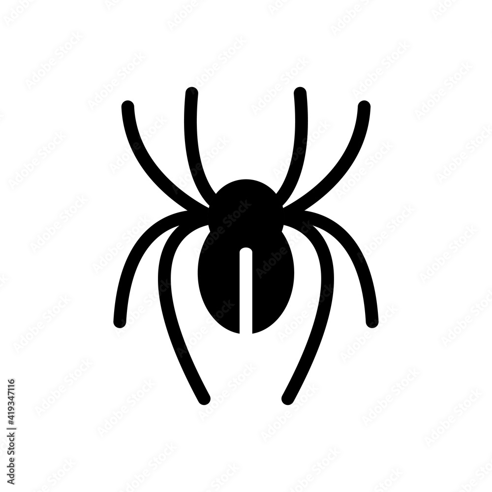 Canvas Prints spider