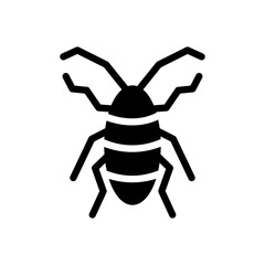 insect