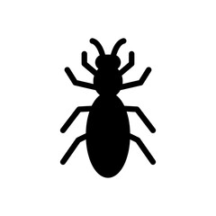 insect