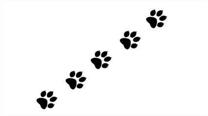 Frame paw print of animal. Cat steps are drawn to decorate the background.