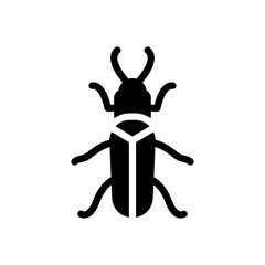 insect