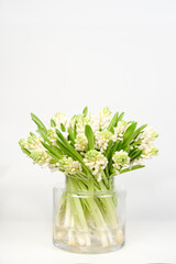 Blossoming white hyacinths. A bouquet in a cylindrical glass vase on a white background.