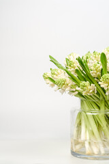 Blossoming white hyacinths. A bouquet in a cylindrical glass vase on a white background.