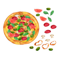 Watercolor hand painted pizza with ingredients. Illustration isolated on white background. Pizza Mushrooms Olives Pepper Basil Sausage Ham Tomatoes Set Realistic