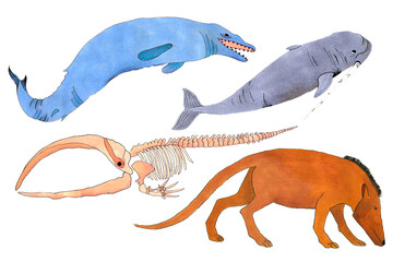 Cute prehistoric animals predecessors of the whale marker illustration. Picture for a postcard, souvenir, decor