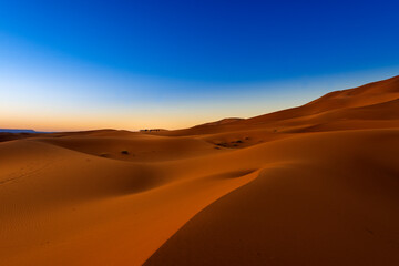 Scenic view of the beautiful Erg Chebbi dunes at dawn, with a camel caravan on the background, in Morocco, North Africa