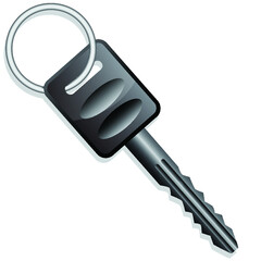 Car vehicle keys icon vector image. Keys from the car 