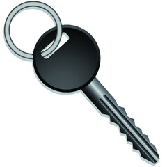 Keys from the house or car 