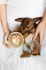 Small bunny and cup of coffee
