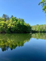 The reflection of beauty