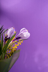 Beautiful spring bouquet of crocuses and mimosa flowers.