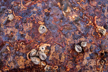 Rusty texture on a metallic maritime ball