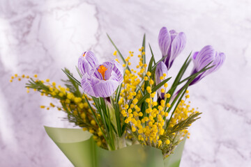 Beautiful spring bouquet of crocuses and mimosa flowers.