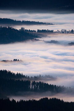 Fog in the Black Forest National Park, Germany Inversionswetterlage im Nationalpark Schwarzwald © Lennart