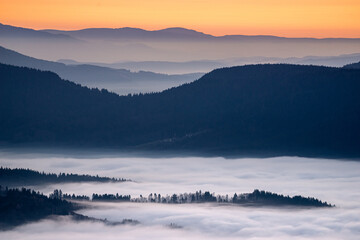 Fog in the Black Forest National Park, Germany
Inversionswetterlage im Nationalpark Schwarzwald