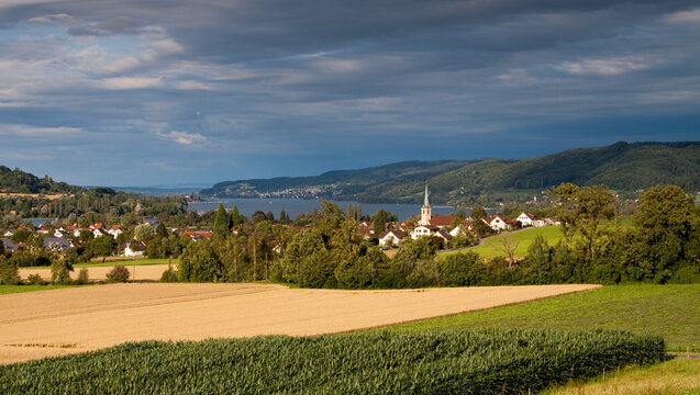 landscape with mountains and lake / Lake Constance (Bodensee), Eschenz, Switzerland