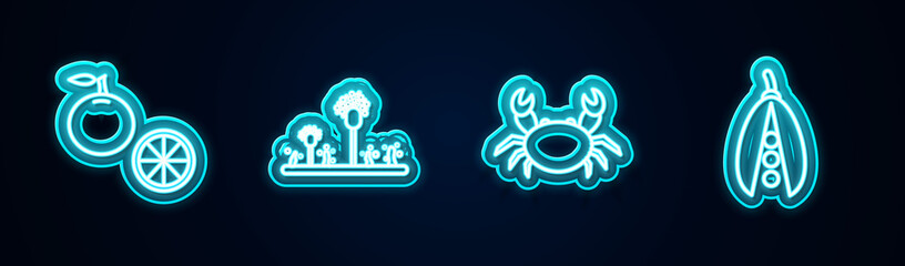 Set line Orange fruit, Mold, Crab and Kidney beans. Glowing neon icon. Vector.