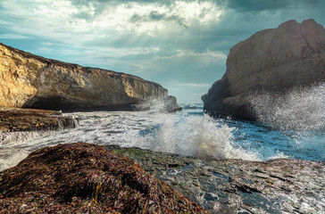 Shark fin cove, beautiful beach landscape on the coast of the California Highway, ocean, rocks, great sky, clear sunny weather.