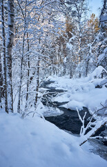 Snowy creek in lapland