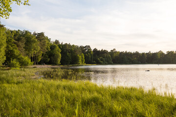 Idyllischer Badesee mit Sandstrand in Niedersachsen