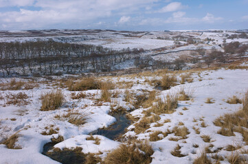 Moorland landscape after snowfall with frozen stream, cotton grass, trees, under blue sky. Goathland, UK.