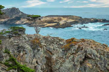 Cypress tree on a rocky point viewed from the Cypress grove trail in Point Lobos State Park on central coast of California.